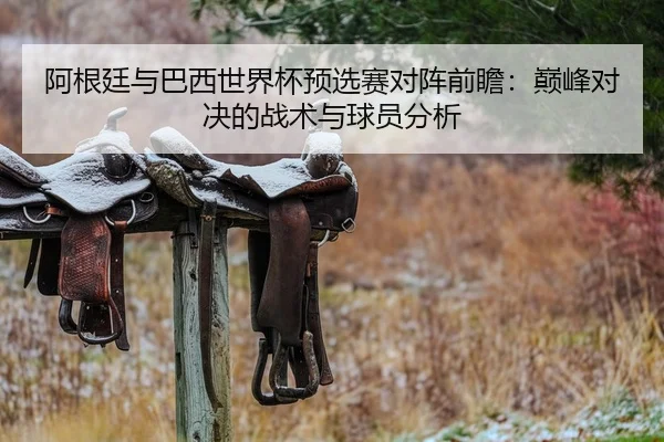 阿根廷与巴西世界杯预选赛对阵前瞻：巅峰对决的战术与球员分析
